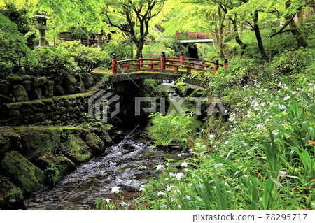 Mino's Shosoin Ryokaizan Yokokuraji Temple 206（岐阜縣伊比郡伊比川町橫倉） 78295717