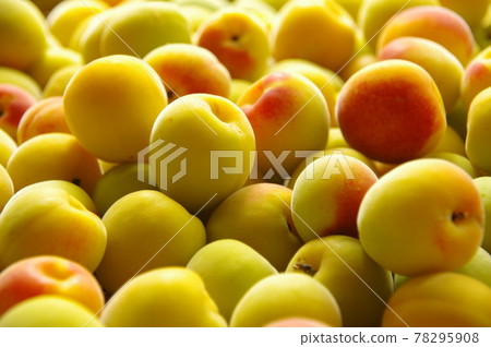 Plum fruit A lot of plum fruit Ripe plum fruit 78295908