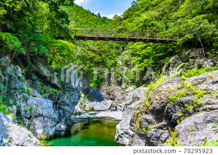 Hatonosu Canyon, a fresh green in Okutama Town, Tokyo 78295923