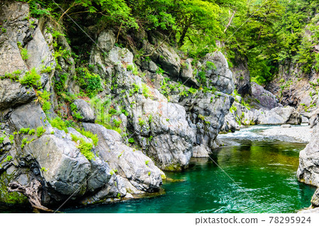 Hatonosu Canyon, a fresh green in Okutama Town, Tokyo Hatonosu Canyon, a fresh green in Okutama Town, Tokyo 78295924