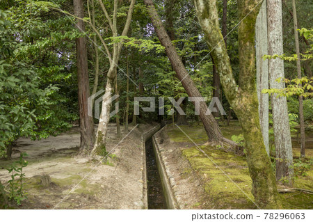 Toshodaiji寺的花園 Toshodaiji寺的花園 78296063