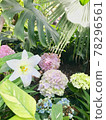 Lily and hydrangea 78296561