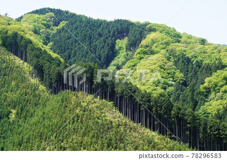 Mountain range of Hinohara Village, Tokyo (Spring) Mountain range of Hinohara Village, Tokyo (Spring) 78296583