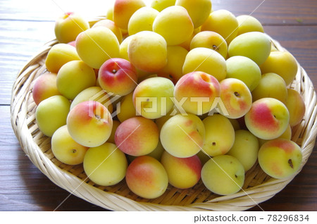 Plums for pickling plums Plums 78296834