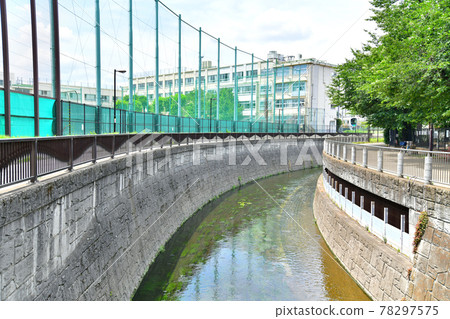 Myoshoji River Ochiai Control Pond / Around Ochiai Park (Shinjuku-ku, Tokyo) [2021.6] 78297575