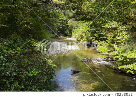 New Zealand Kepler Track 78298031