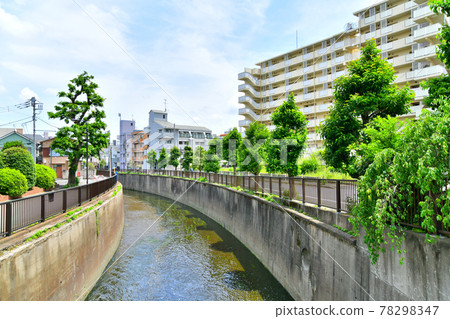 View toward the downstream from Suishakami Bridge / Myoshoji River (Nakano-ku, Tokyo) [2021.6] 78298347