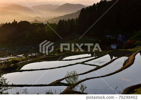 Rice terrace of Hase valley Rice terrace of Hase valley 78298402