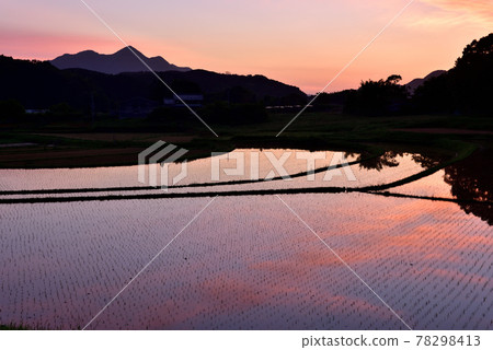Uda Yu Shi's Rice Terraces Uda Yu Shi's Rice Terraces 78298413