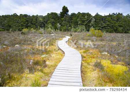 New Zealand Kepler Track Spirit Lake View In Platform 78298434