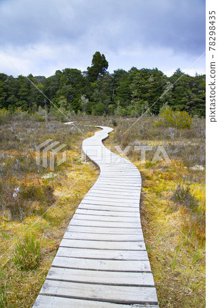 New Zealand Kepler Track Spirit Lake View In Platform New Zealand Kepler Track Spirit Lake View In Platform 78298435