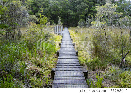 New Zealand Kepler Track Spirit Lake View In Platform New Zealand Kepler Track Spirit Lake View In Platform 78298441