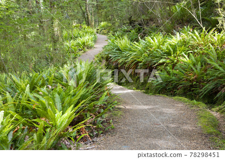 New Zealand Kepler Track 78298451