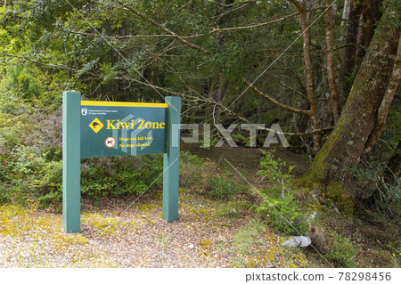 New Zealand Kepler Track Kiwi Reserve New Zealand Kepler Track Kiwi Reserve 78298456