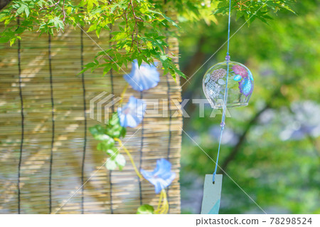 Wind chime under the maple tree Sudare morning glory Wind chime under the maple tree Sudare morning glory 78298524