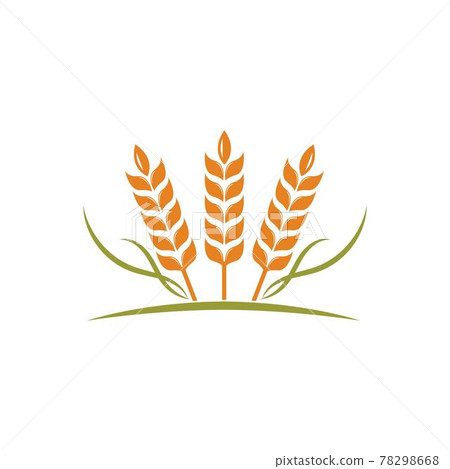 Agriculture wheat   vector icon illustration design 78298668