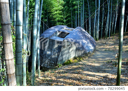 位於奈良縣柏原市白梨町的巨石史蹟增田岩船 位於奈良縣柏原市白梨町的巨石史蹟增田岩船 78299045