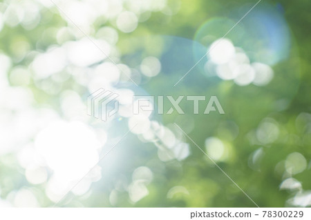 Fresh green early summer eco image Fresh green early summer eco image 78300229