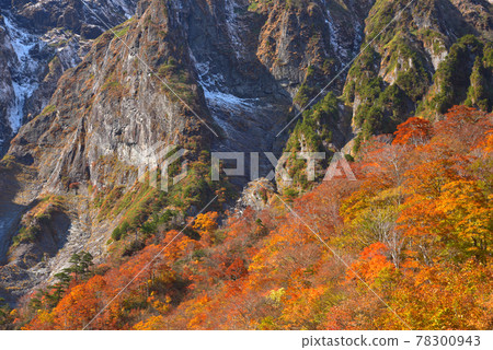 谷川岳 Ichinokurazawa 秋葉和屏風從相遇中看到 78300943
