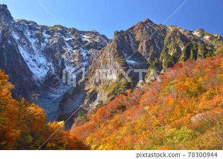 谷川岳 Ichinokurazawa 秋葉和屏風從相遇中看到 78300944