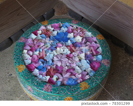 Kamakura Ichijo Ekan Sanso Hanatemizu Kamakura Ichijo Ekan Sanso Hanatemizu 78301299