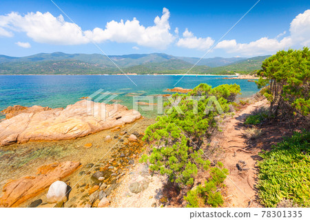 South Corsica, summer landscape 78301335