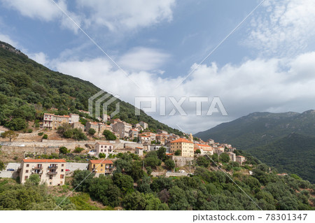 Olmeto general view on a summer day 78301347