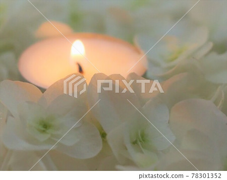 Oakleaf hydrangea and lit candle Oakleaf hydrangea and lit candle 78301352