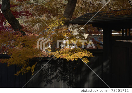 武士住所 武士住所 78301711