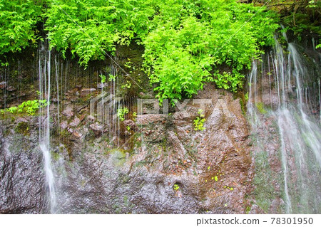 Longevity Waterfall Spring Water / Nasushiobara City Prefectural Road 56 78301950