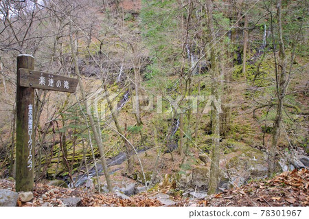 Unexplored region of Nasushiobara Sukkanzawa Waterfall 78301967