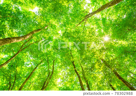 新鮮的綠色和生態形象 78302988