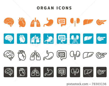 器官圖標集 78303136
