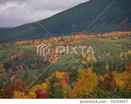 Autumn leaves of Tokachidake footstep 78304057