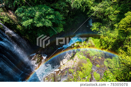 Beautiful scenery of Kikuchi Gorge when it was fresh green ni Beautiful scenery of Kikuchi Gorge when it was fresh green ni 78305078