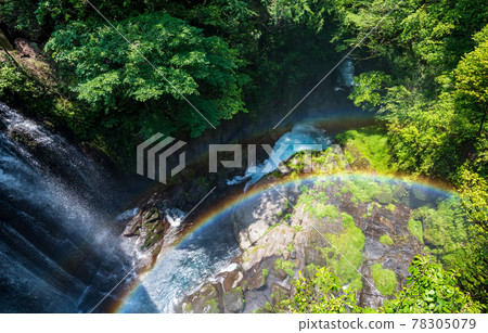 Beautiful scenery of Kikuchi Gorge when it was fresh green ni Beautiful scenery of Kikuchi Gorge when it was fresh green ni 78305079