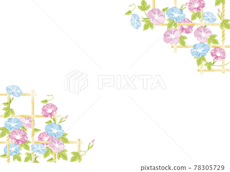 Bamboo shelf morning glory watercolor illustration 78305729