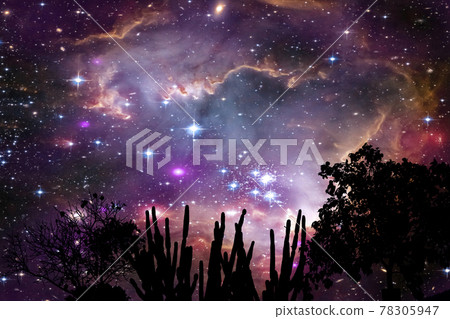 Nebula in galaxy over silhouette tree on the mountain night sky Nebula in galaxy over silhouette tree on the mountain night sky 78305947