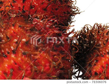Rambutan isolated on white 78306076