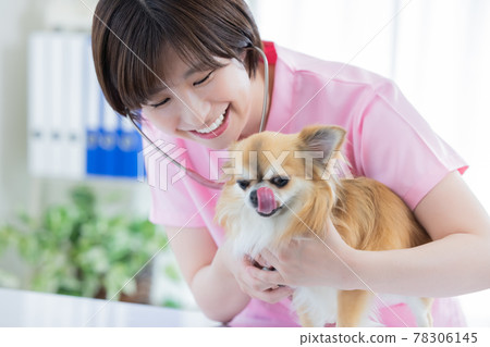 檢查狗的醫學獸醫 78306145