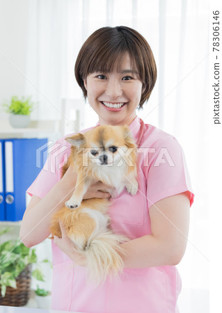 檢查狗的醫學獸醫 檢查狗的醫學獸醫 78306146