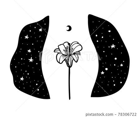 Illustration of a female figure with a lily on a background of the night sky. The concept of caring for womens intimate health. Hand drawn line vector stock illustration. 78306722
