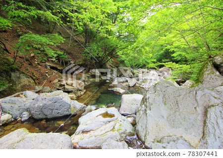 Maeyama Happogahara Line Sidewalk Waterfall Tour Hiking Maeyama Happogahara Line Sidewalk Waterfall Tour Hiking 78307441