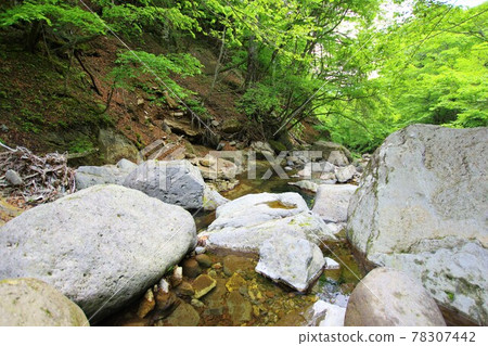 Maeyama Happogahara Line Sidewalk Waterfall Tour Hiking 78307442