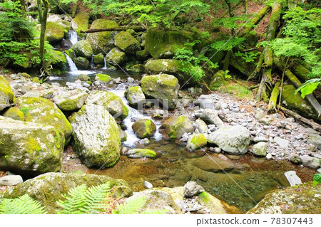 Maeyama Happogahara Line Sidewalk Waterfall Tour Hiking 78307443