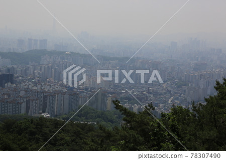 北漢山, 國家公園, 步道, 松樹 北漢山, 國家公園, 步道, 松樹 78307490
