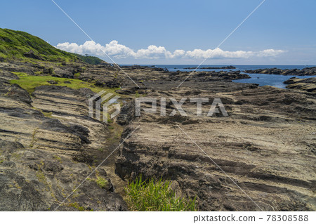 城島岩石海岸風光[神奈川縣三浦市] 78308588