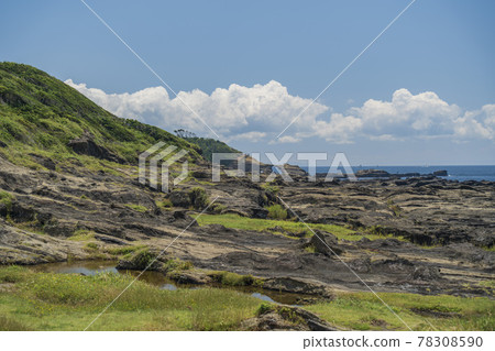 Jogashima "Uma-no-seidomon" and rocky coast [Miura City, Kanagawa Prefecture] 78308590