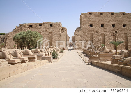 Karnak Temple Sphinx (Egypt) Karnak Temple Sphinx (Egypt) 78309224