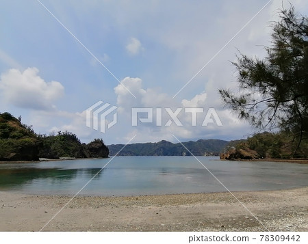 Miyanohama Miyanohama 78309442